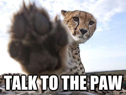 Talk to the paw - Talk to the paw  Interview Declined Cheetah