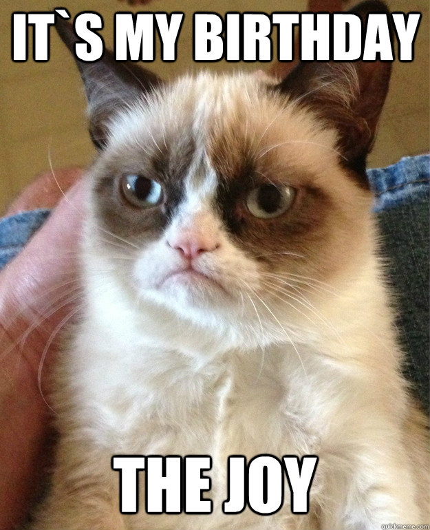 It`s my birthday The joy  Grumpy Cat