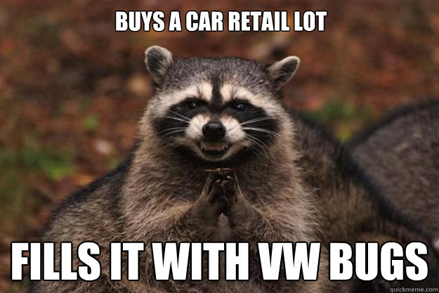 Buys a car retail lot Fills it with vw bugs  Evil Plotting Raccoon