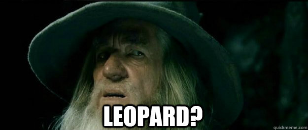  Leopard?  Gandalf