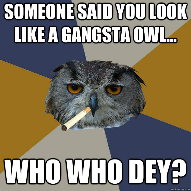 Someone said you look like a Gangsta Owl... WHO WHO DEY?  Art Student Owl