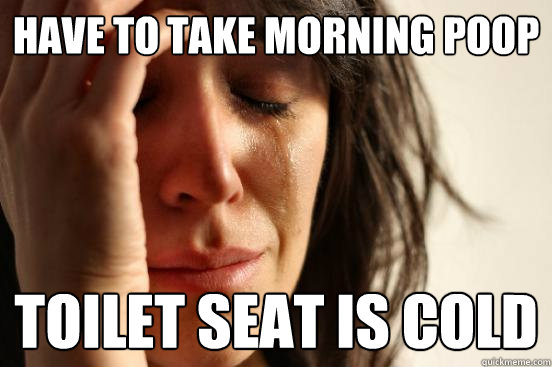 HAVE TO TAKE MORNING POOP TOILET SEAT IS COLD - HAVE TO TAKE MORNING POOP TOILET SEAT IS COLD  First World Problems