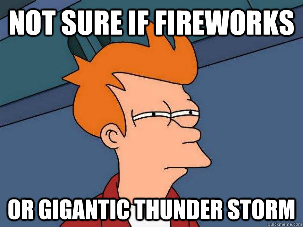 Not sure if fireworks Or gigantic thunder storm  Futurama Fry