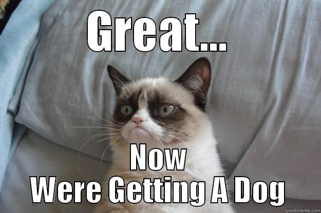 Grumpy Cat Is Screwed - GREAT... NOW WERE GETTING A DOG Grumpy Cat