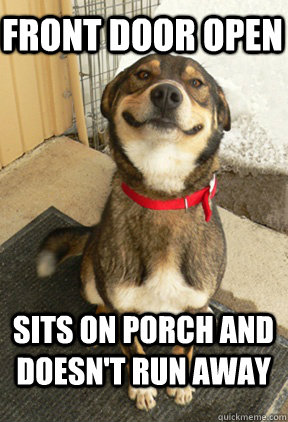 front door open sits on porch and doesn't run away - front door open sits on porch and doesn't run away  Good Dog Greg