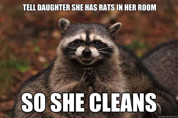 tell daughter she has rats in her room SO SHE CLEANS  Evil Plotting Raccoon