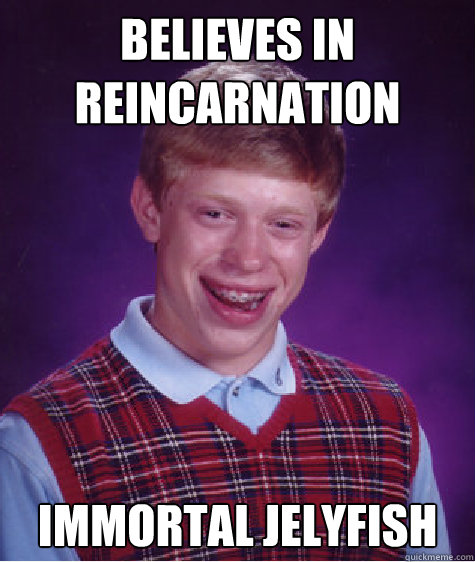 Believes in reincarnation Immortal Jelyfish  Bad Luck Brian