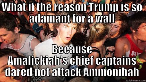 WHAT IF THE REASON TRUMP IS SO ADAMANT FOR A WALL BECAUSE AMALICKIAH'S CHIEF CAPTAINS DARED NOT ATTACK AMMONIHAH Sudden Clarity Clarence