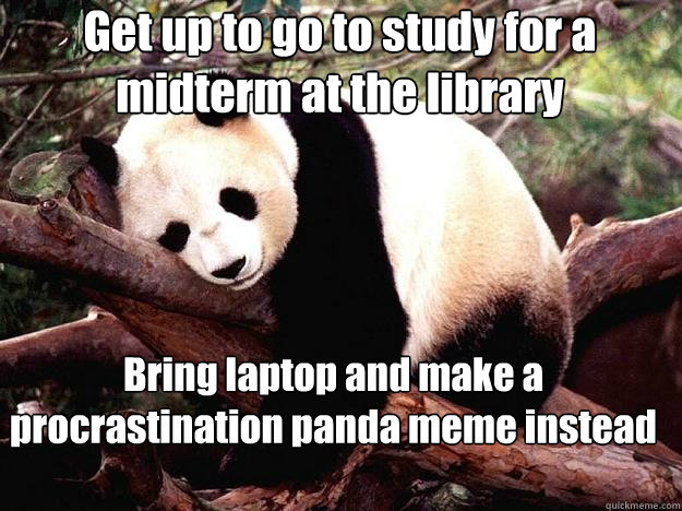 Get up to go to study for a midterm at the library Bring laptop and make a procrastination panda meme instead  Procrastination Panda