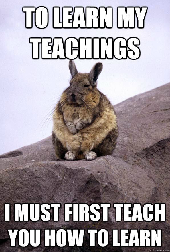 To learn my teachings I must first teach you how to learn - To learn my teachings I must first teach you how to learn  Wise Wondering Viscacha