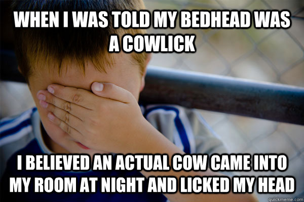 When I was told my bedhead was a cowlick I believed an actual cow came into my room at night and licked my head  Confession kid