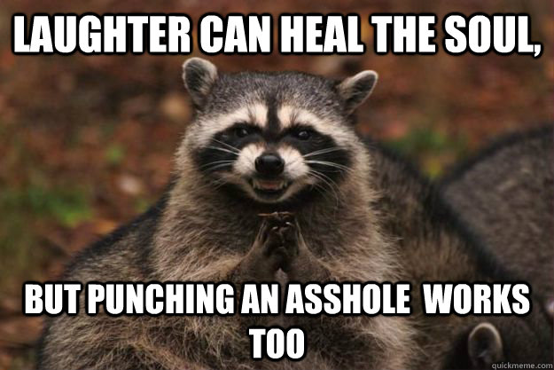 Laughter can heal the soul,  but punching an asshole  works too  Evil Plotting Raccoon