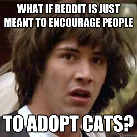 What if reddit is just meant to encourage people to adopt cats?  conspiracy keanu