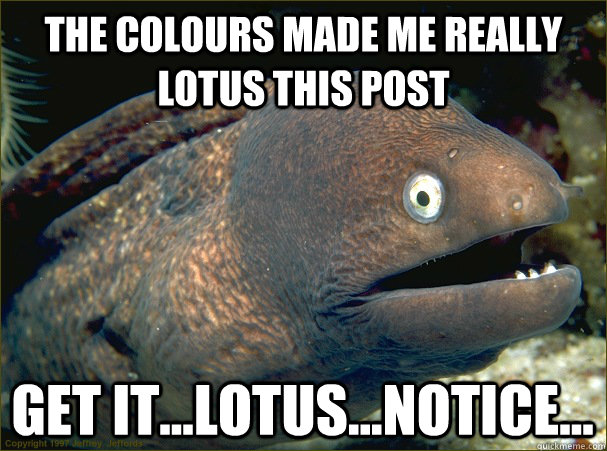 The colours made me really lotus this post GET IT...Lotus...notice... - The colours made me really lotus this post GET IT...Lotus...notice...  Bad Joke Eel