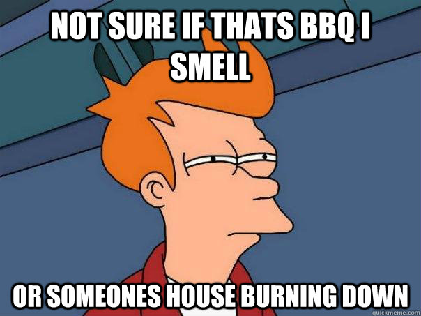 Not sure if thats BBQ i smell Or someones house burning down  Futurama Fry