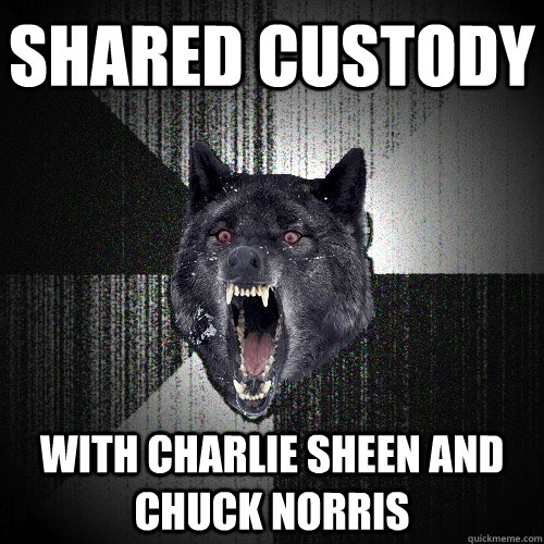 Shared custody  With Charlie sheen and chuck Norris  Insanity Wolf