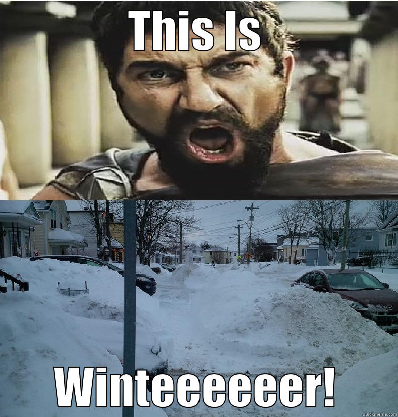 THIS IS WINTEEEEEER! Misc