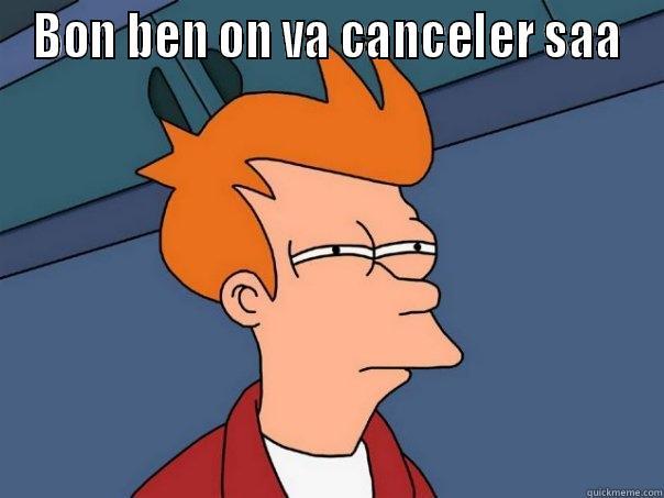 BON BEN ON VA CANCELER SAA  Futurama Fry