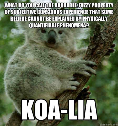 What do you call the adorable, fuzzy property of subjective conscious experience that some believe cannot be explained by physically quantifiable phenomena? Koa-lia - What do you call the adorable, fuzzy property of subjective conscious experience that some believe cannot be explained by physically quantifiable phenomena? Koa-lia  Property Dualism Puns