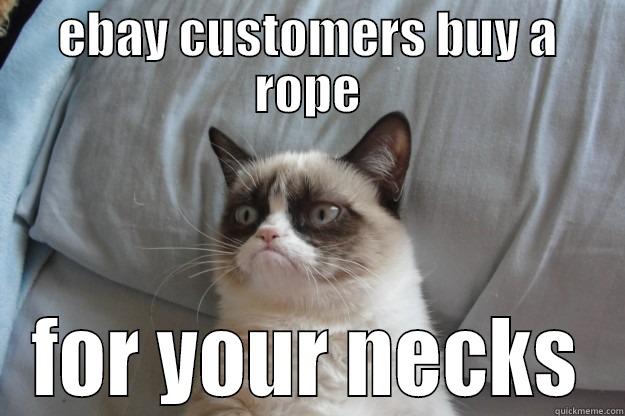 EBAY CUSTOMERS BUY A ROPE FOR YOUR NECKS Grumpy Cat