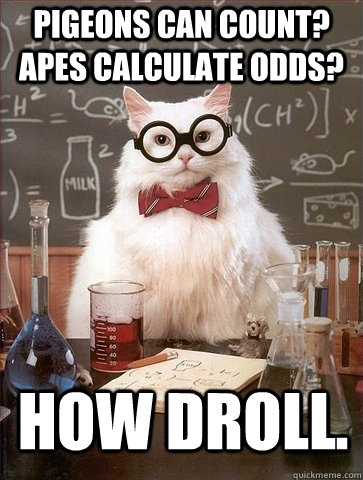 PIGEONS CAN COUNT? APES CALCULATE ODDS? HOW DROLL. - PIGEONS CAN COUNT? APES CALCULATE ODDS? HOW DROLL.  Chemistry Cat