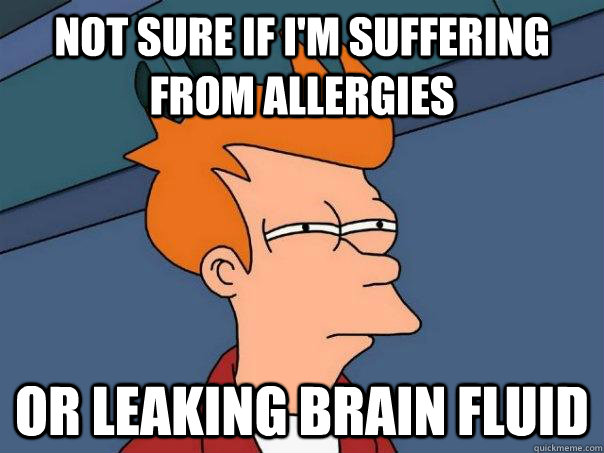 Not sure if i'm suffering from allergies or leaking brain fluid  Futurama Fry