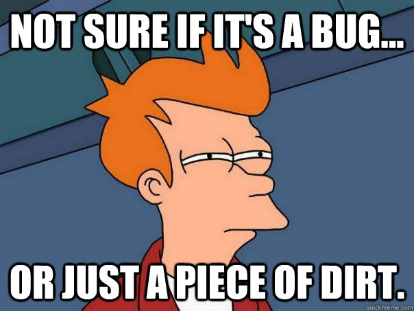 Not sure if it's a bug... Or just a piece of dirt.  Futurama Fry