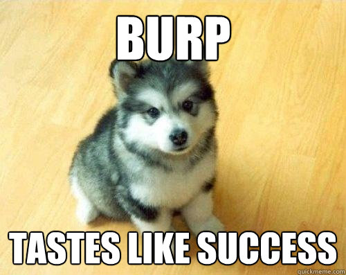 Burp Tastes like success - Burp Tastes like success  Baby Courage Wolf
