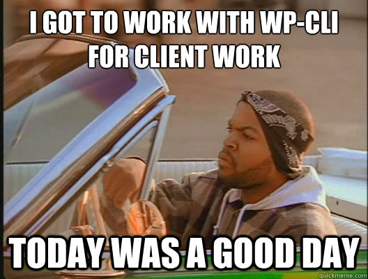 I got to work with WP-CLI for client work Today was a good day  today was a good day