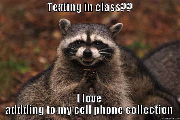 No Texting -                        TEXTING IN CLASS??                          I LOVE ADDDING TO MY CELL PHONE COLLECTION Evil Plotting Raccoon