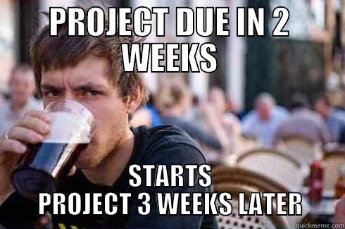 PROJECT DUE IN 2 WEEKS STARTS PROJECT 3 WEEKS LATER Lazy College Senior