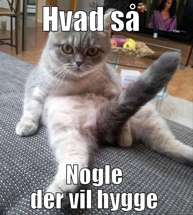 HVAD SÅ  NOGLE DER VIL HYGGE Misc