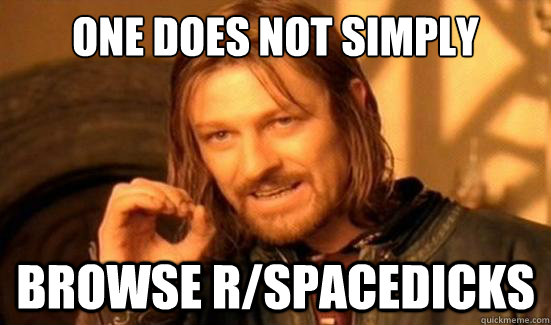 One Does Not Simply browse r/spacedicks  Boromir