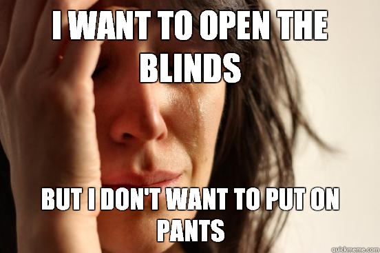 I want to open the blinds But I don't want to put on pants - I want to open the blinds But I don't want to put on pants  First World Problems