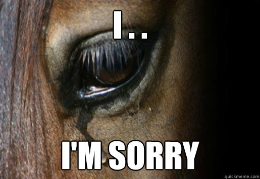 I . . I'm sorry  Sorry Horse