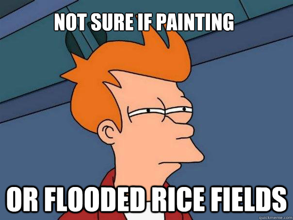 Not sure if painting Or flooded rice fields  Futurama Fry