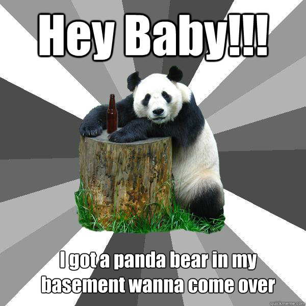 Hey Baby!!! I got a panda bear in my basement wanna come over   Pickup-Line Panda