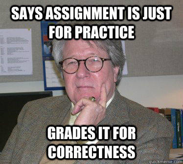 Says assignment is just for practice grades it for correctness  Humanities Professor