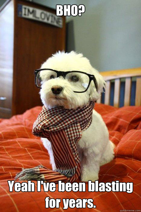 BHO?  Yeah I've been blasting for years.  Hipster Dog