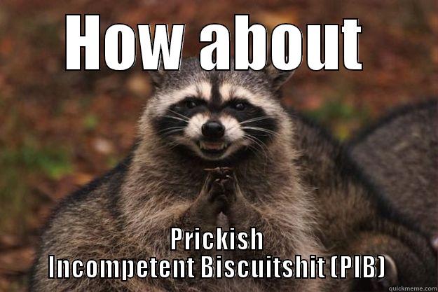 HOW ABOUT PRICKISH INCOMPETENT BISCUITSHIT (PIB) Evil Plotting Raccoon