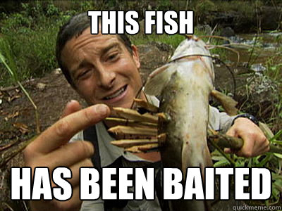 THIS FISH HAS BEEN BAITED  Bear Grylls Easy Bait