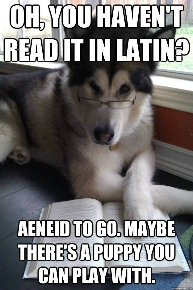 Oh, you haven't read it in Latin? Aeneid to go. Maybe there's a puppy you can play with. - Oh, you haven't read it in Latin? Aeneid to go. Maybe there's a puppy you can play with.  Condescending Literary Pun Dog