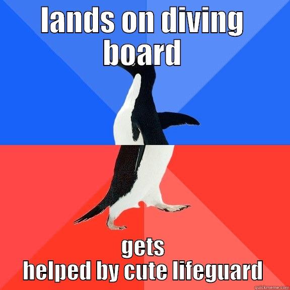 LANDS ON DIVING BOARD GETS HELPED BY CUTE LIFEGUARD Socially Awkward Awesome Penguin