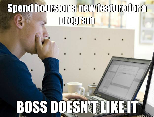 Spend hours on a new feature for a program BOSS DOESN'T LIKE IT  Programmer