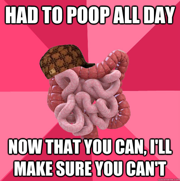 had to poop all day now that you can, i'll make sure you can't - had to poop all day now that you can, i'll make sure you can't  Scumbag Intestines