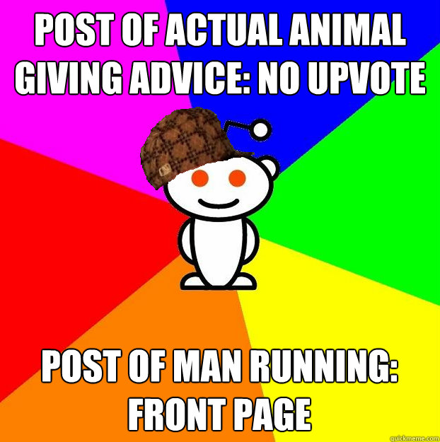 post of actual animal giving advice: no upvote post of man running: front page  Scumbag Redditor