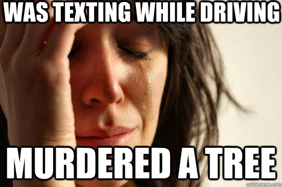 was texting while driving murdered a tree  First World Problems