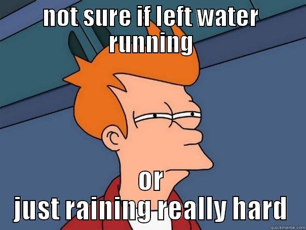 NOT SURE IF LEFT WATER RUNNING OR JUST RAINING REALLY HARD Futurama Fry