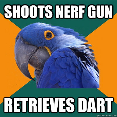 Shoots nerf gun retrieves dart  Paranoid Parrot