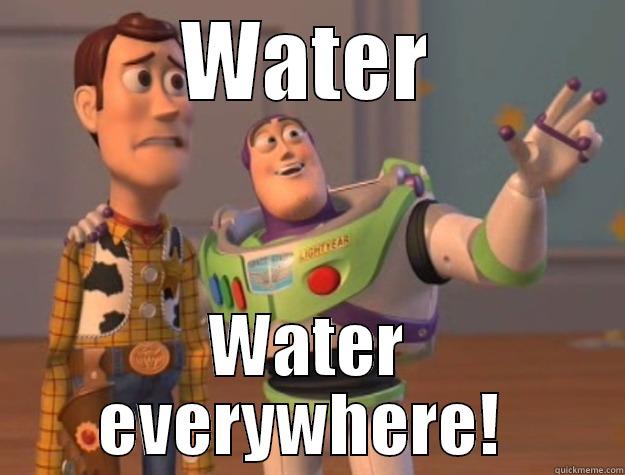 WATER WATER EVERYWHERE!  Toy Story